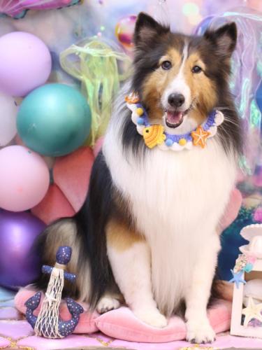 20240809ヒューゴくん